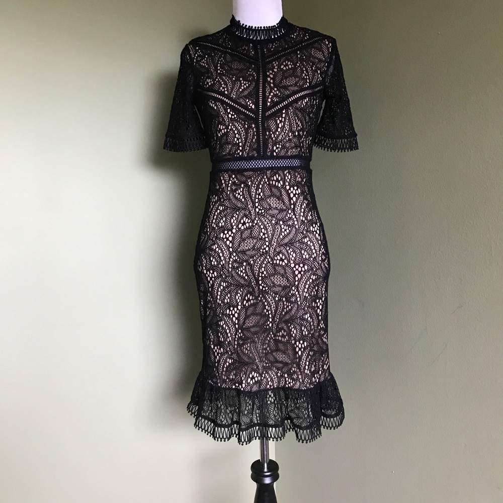 Bardot Black Lace Nude lined short sleeve Dress